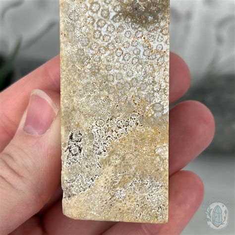 coral jade nude