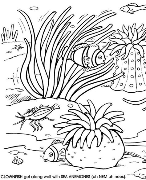 Coral Reef Fish Tank Coloring Pages Kids Play Coloring Page Fish Tank - Coloring Page Fish Tank