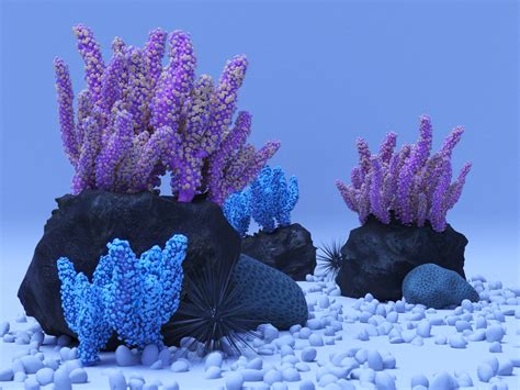 coral_reef ts