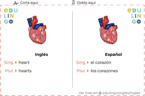 Corazon En Ingles