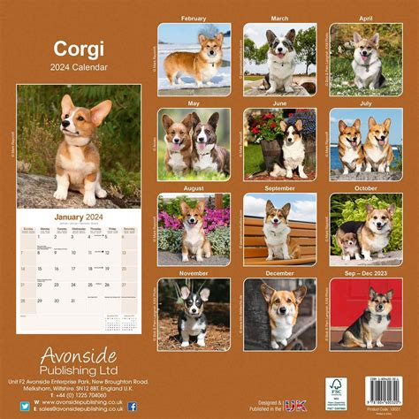 Download Corgi Calendar Dog Breed Calendars 2017 2018 Wall Calendars 16 Month By Avonside 