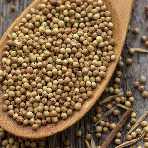 coriander | CORIANDER SMALL SEEDS ASIAN TYPE BAC LIEU