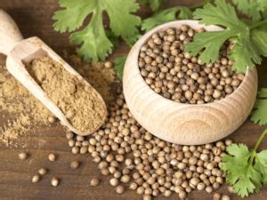 Coriander Biological Source