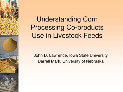 Corn Processing Co Products Informa Econ