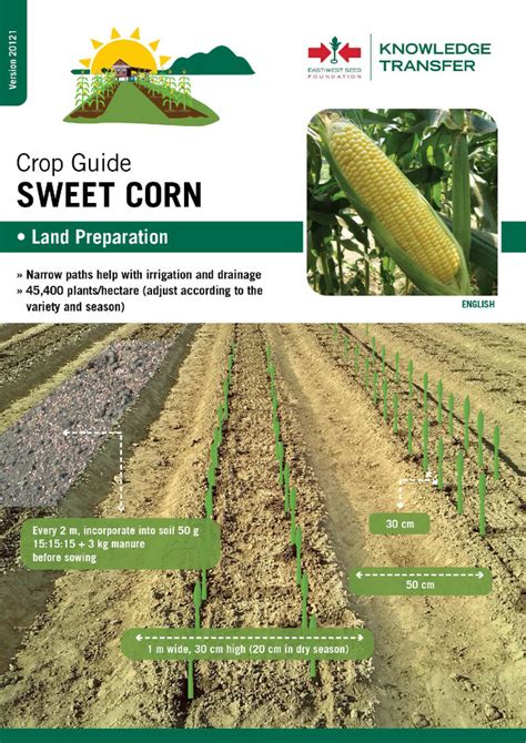 Corn Production Guide