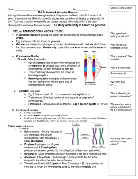Read Cornell Notes Unit 3 Genetics Chapter 6 Meiosis And Mendel 