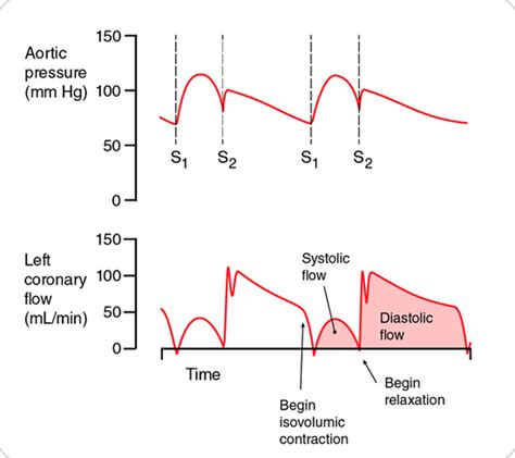 Coronary Perfusion Pressure