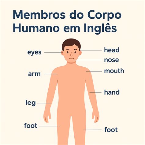 Corpo Humano Em Inglês