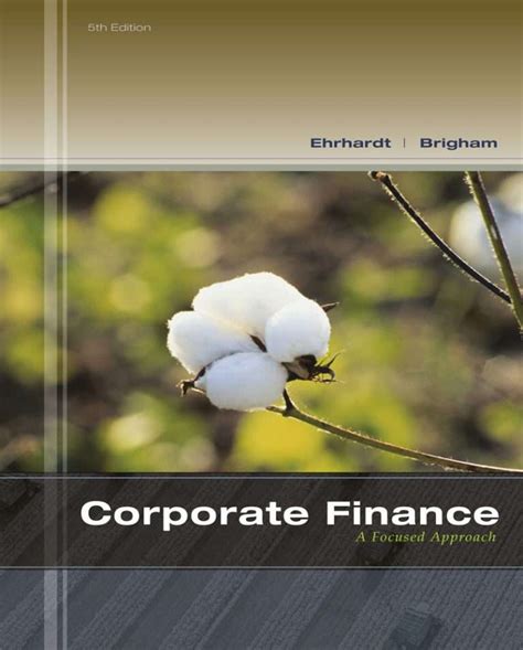 Full Download Corporate Finance A Focused Approach 5Th Edition 