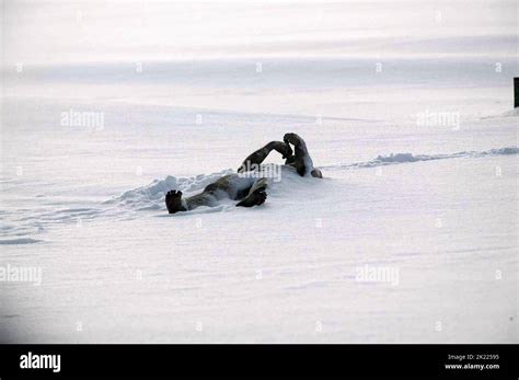 Corpse In Snow