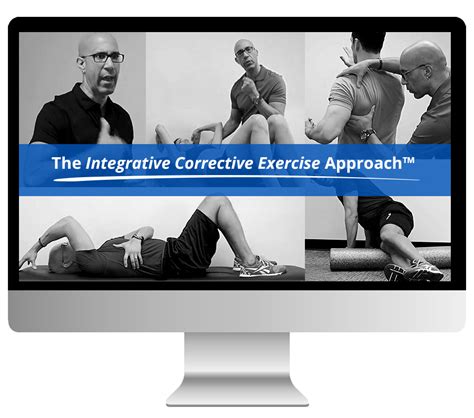 Read Online Corrective Exercise Solutions Evan Osar 