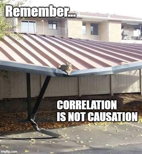 Correlation Cat On Roof