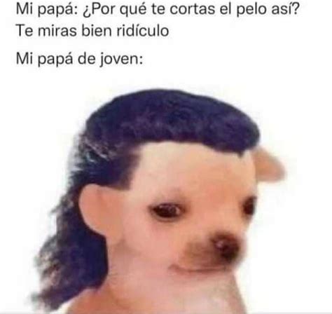 Cortes De Pelo Meme