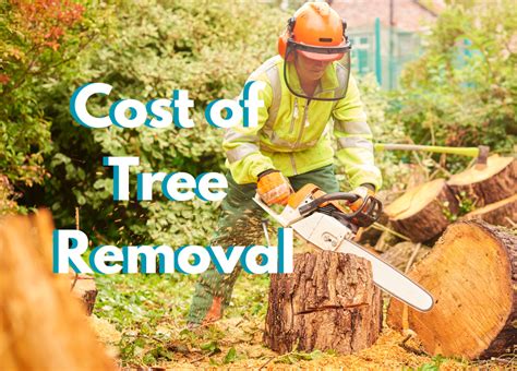 cost to remove large tree from yard