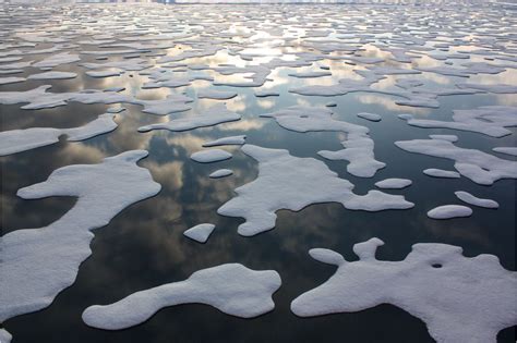 Could The Arctic Be Ice Free Within A 5 Es Science - 5 Es Science