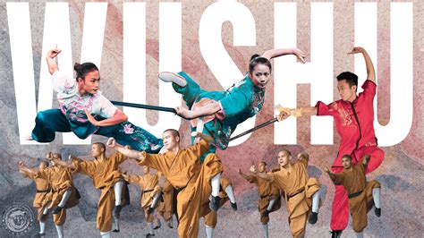cours de wushu