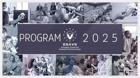 Course Program Esavs