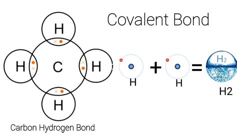 Covalent Bond Def