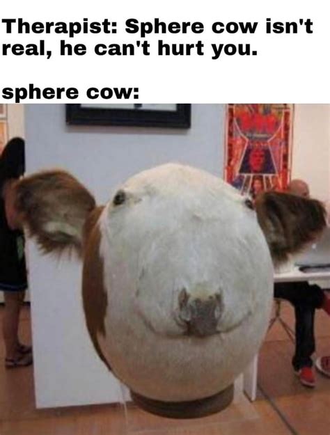 Cow Hood Memes