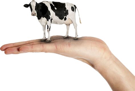 cow-handed: meaning - WordSense