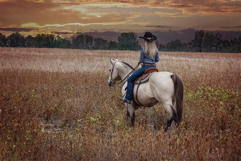 cowgirl riding porn