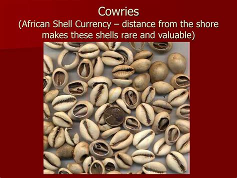 Cowries Things Fall Apart