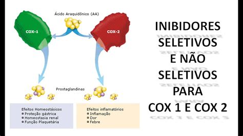 Cox 1 E Cox 2