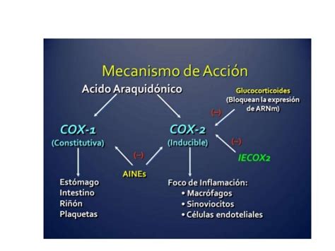 Cox 1 Y Cox 2