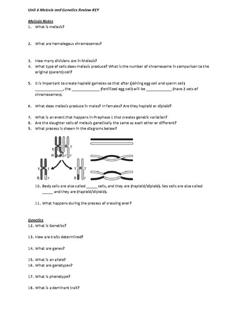 Full Download Cp Unit 6 Review Meiosis Answers 