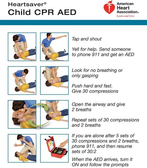 Download Cpr And Aed Study Guide 