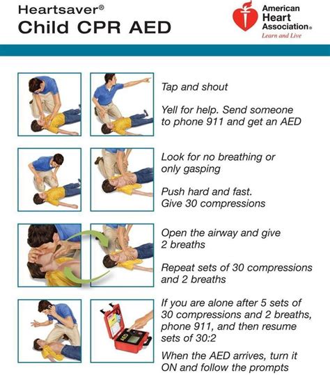 Read Cpr Printable Study Guide 