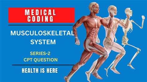 cpt coding practice exercises for musculoskeletal system