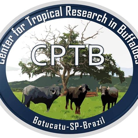 campobet: Aposte nas Melhores Apostas Desportivas Online e Fique Tranquilo com a Proteção de Fundos - Foto 2