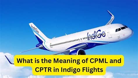 Cptr Service In Indigo