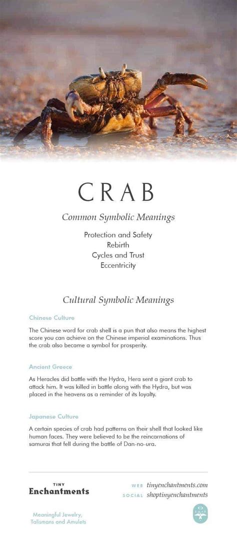 crab meaning