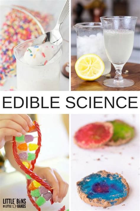 Crafts Projects Science Experiments And Recipes For Moms The Science Experiment - The Science Experiment