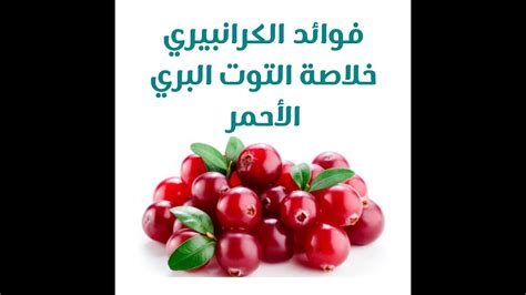 cranberry بالعربي