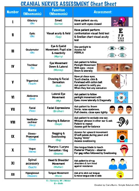 Cranial Nerve Assessment