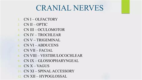 Cranial Nerve Examination Ppt
