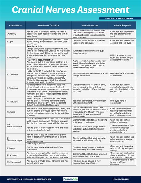 Cranial Nerve Testing