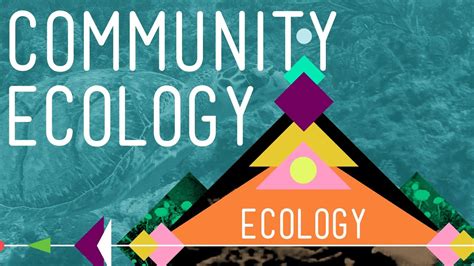 Crash Course Ecology 4 Community Ecology Worksheet Tpt Community Ecology Worksheet Answers - Community Ecology Worksheet Answers