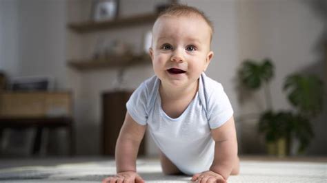 crawling artinya | Thng rc cng nghip 60 lt c