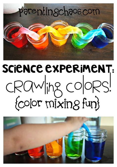Crawling Colors A Fun Color Mixing Science Experiment Color Mixing Science Experiments - Color Mixing Science Experiments