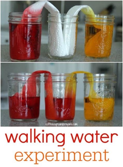 Crazy Cool Walking Water Science Experiment For Kids Coffee Science Experiments - Coffee Science Experiments