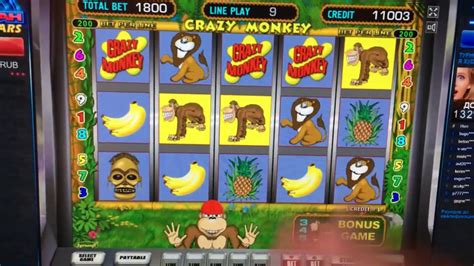 crazy monkey казино