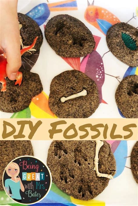 Create A Fossil Activity Education Com Fossil Activities For 3rd Grade - Fossil Activities For 3rd Grade