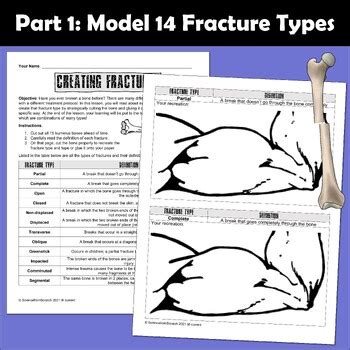 Create A Fracture Hands On Activity On Broken Bone Fractures Worksheet Answers - Bone Fractures Worksheet Answers