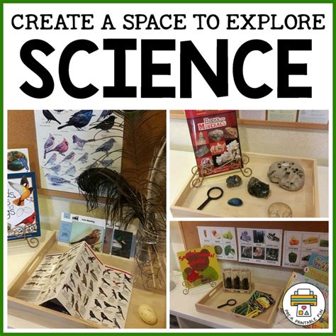 Create A Science Learning Space Pre K Printable Preschool Science Table - Preschool Science Table
