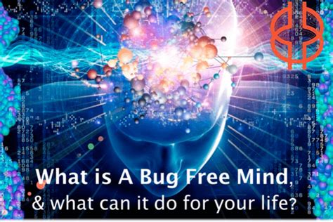 Creating A Bug Mind