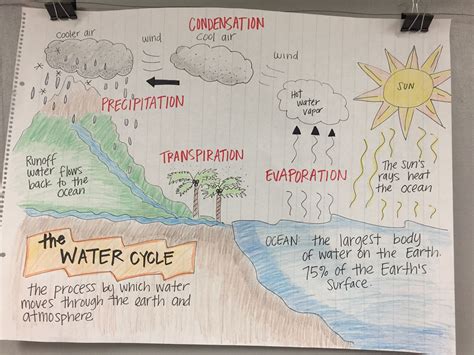 Creating Water Cycle Diagrams Fourth Grade Science Science The Water Cycle 4th Grade - The Water Cycle 4th Grade